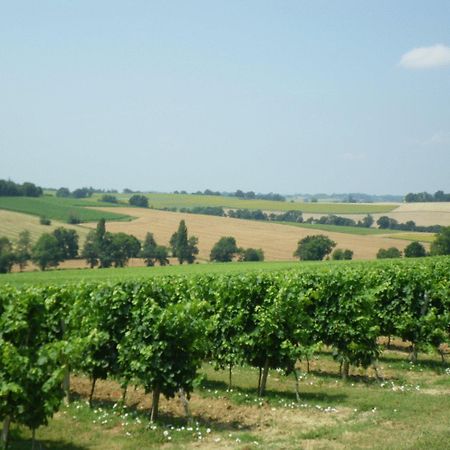 Chateau De Fources Luaran gambar