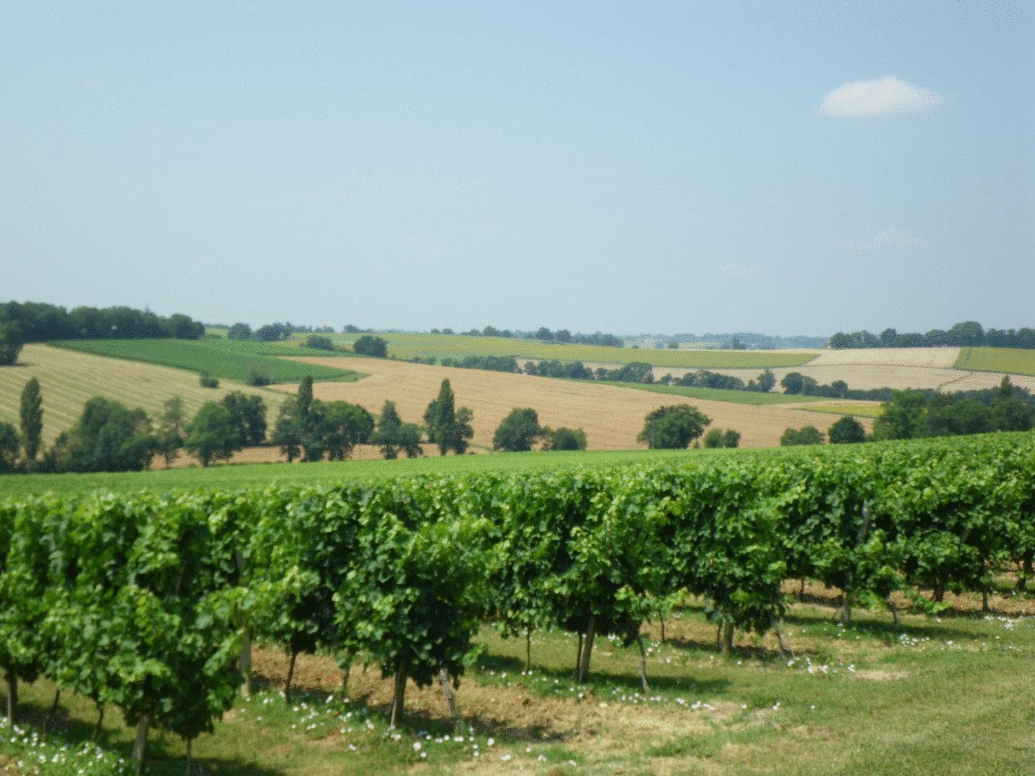 Chateau De Fources Luaran gambar